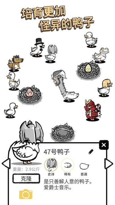 奇怪的鸭子模拟最新版下载,奇怪的鸭子模拟,孵化游戏